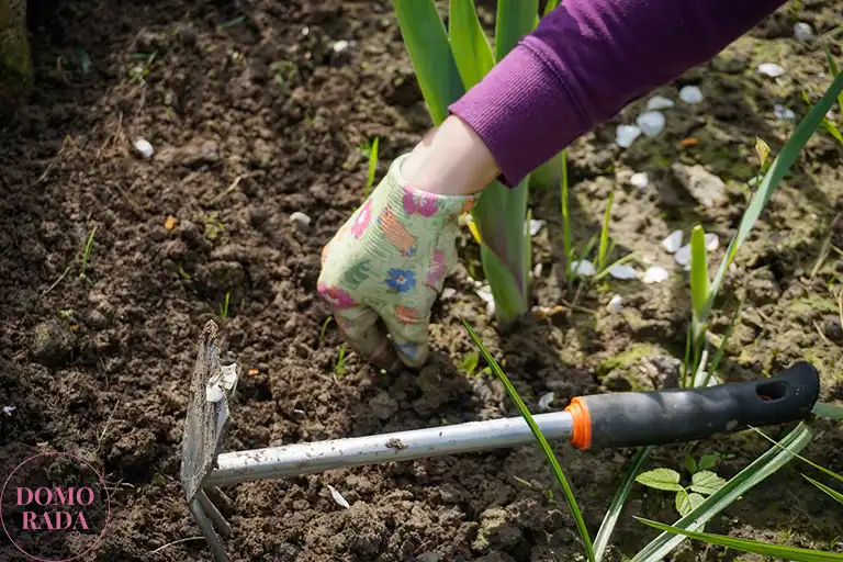 Wybór ziemi do roślin ogrodowych